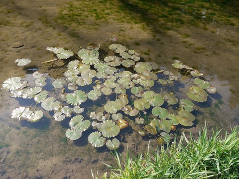image_02