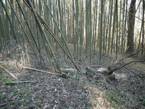 image_05