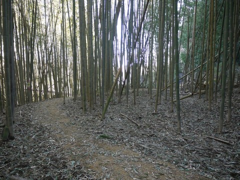 image_03