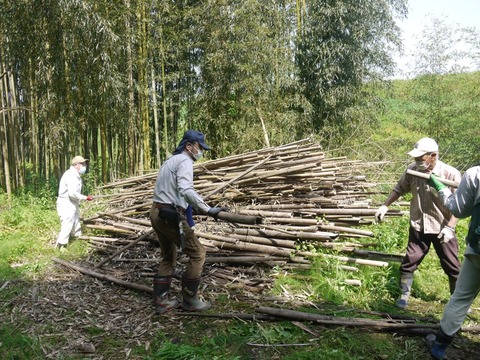 image_02