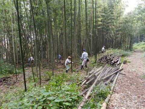 image_04