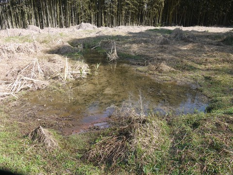 image_03