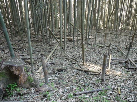 image_04