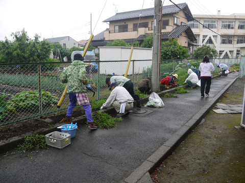 image_03