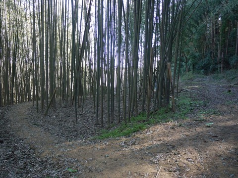 image_01