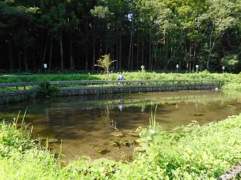 image_03
