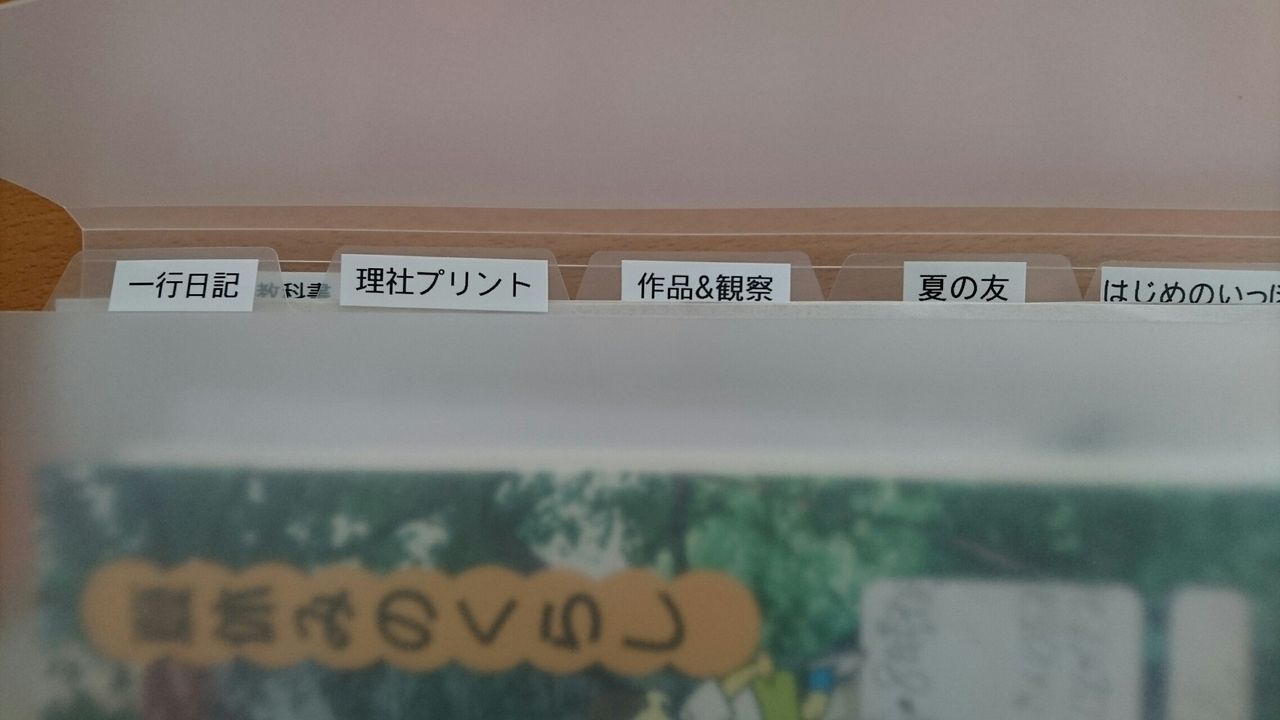 子どもの物 Snow Crystal