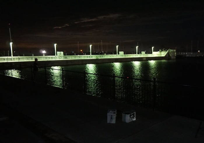 炬口漁港タチウオ13