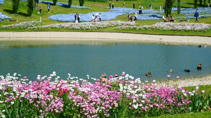 国営明石海峡公園2