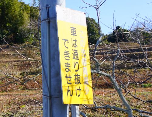 素掘りトンネル4