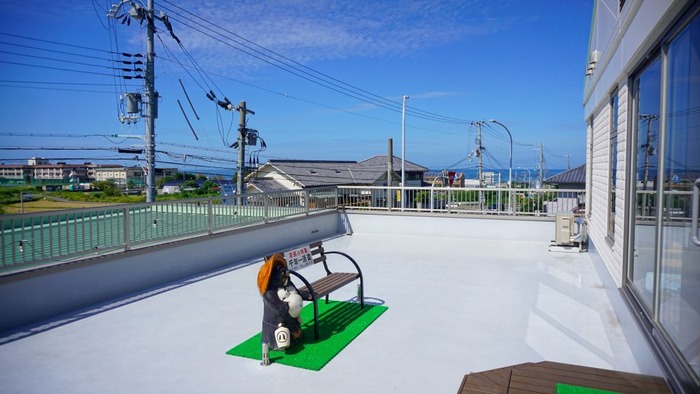 しゃんとこ市場19