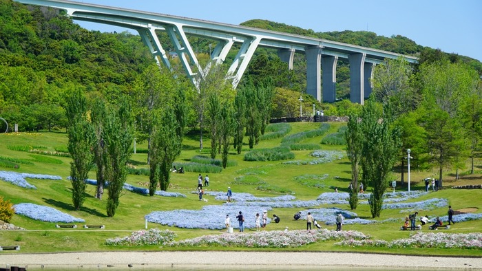国営明石海峡公園23