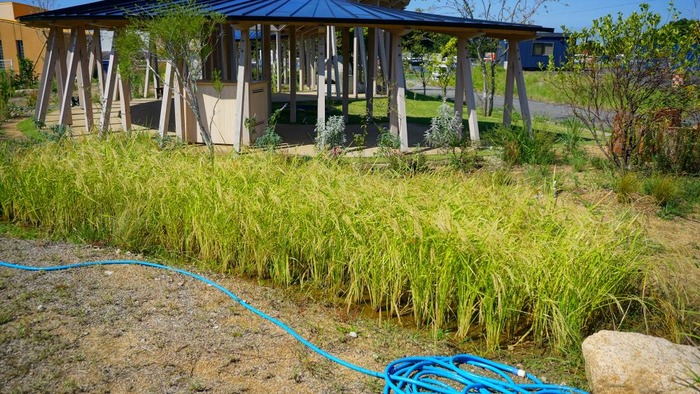 北淡震災記念公園8