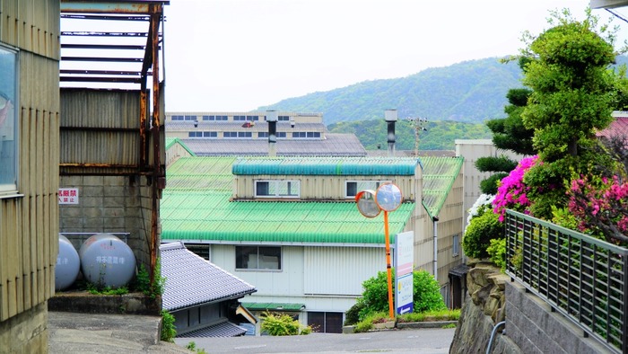 カリコリゾート19