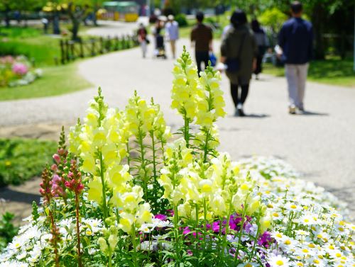 国営明石海峡公園19