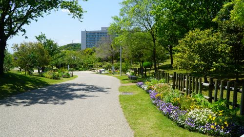 国営明石海峡公園17