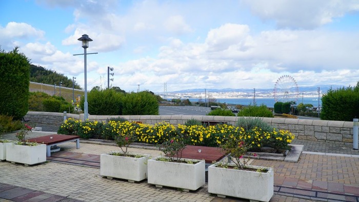 ニジゲンノモリ7