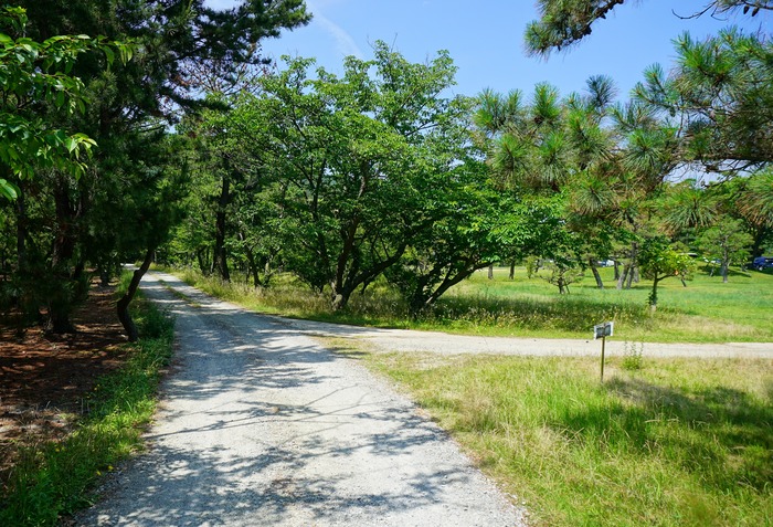 淡路島最北端43