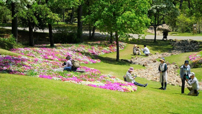 国営明石海峡公園1