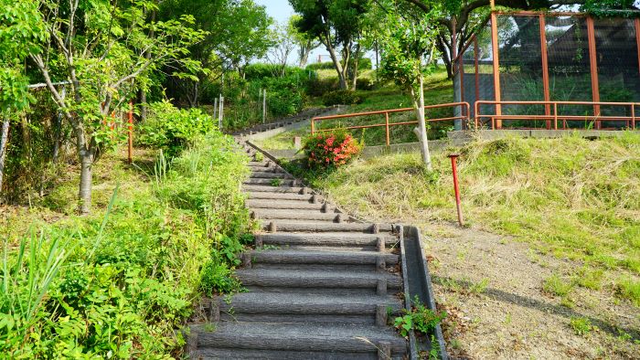 緑パーキングエリア24