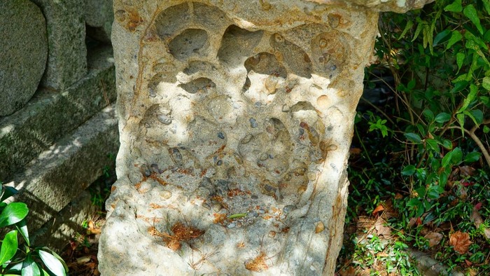 洲本第二小学校40