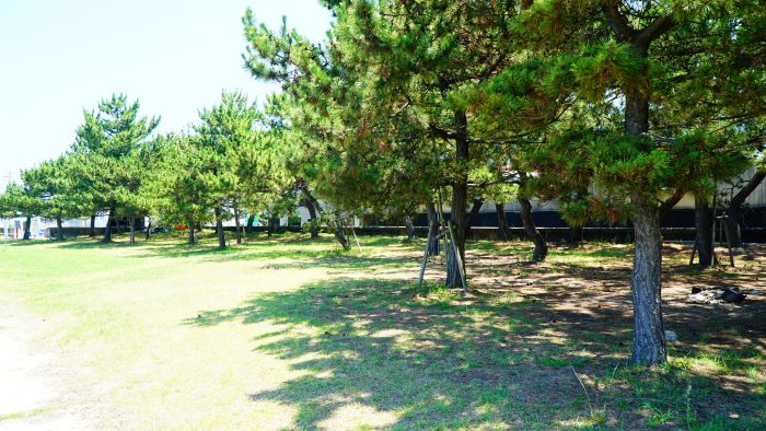 尾崎海水浴場13