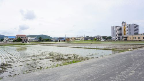 慶野松原海水浴場36