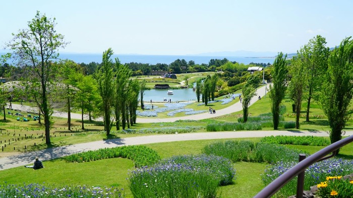 国営明石海峡公園22