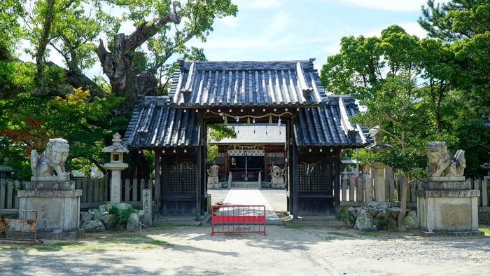 洲本第二小学校17