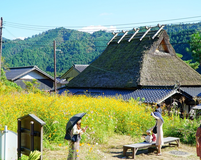 美山かやぶきの里19