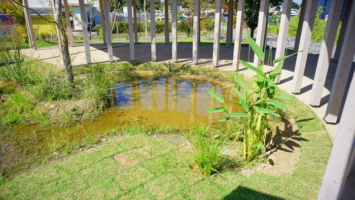 北淡震災記念公園11