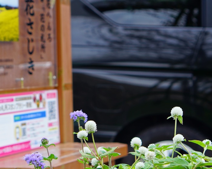 あわじ花さじき24