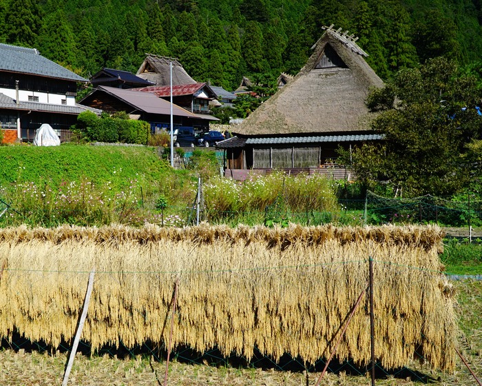 美山かやぶきの里12