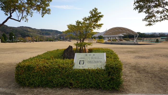 ウェルネスパーク五色11