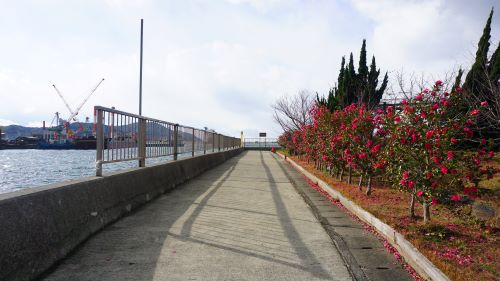 フェアフィールド･ バイ･マリオット26