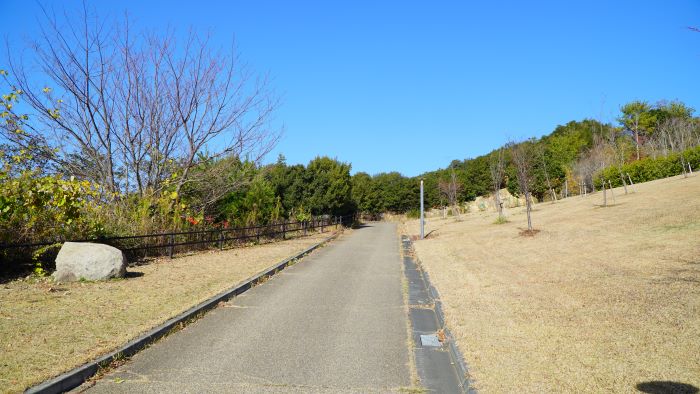 子午線ライン17