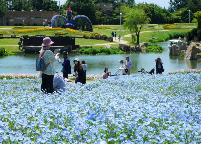 国営明石海峡公園6
