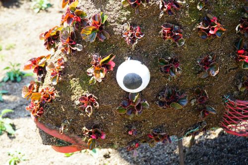 国営明石海峡公園27