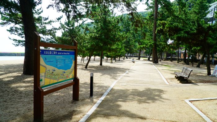 大浜海水浴場43