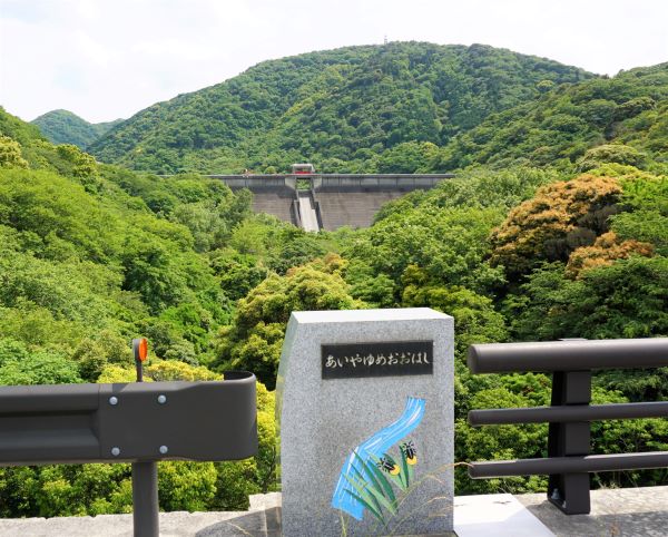 オニオンロード14