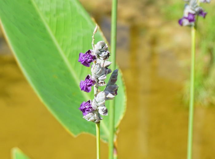北淡震災記念公園19