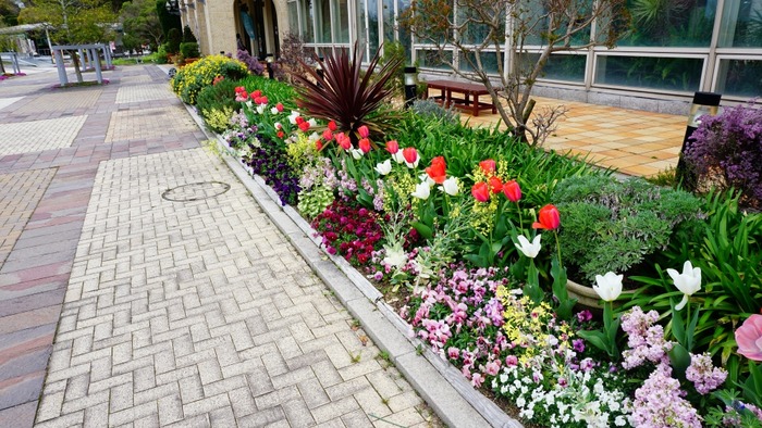 淡路ハイウェイオアシス16