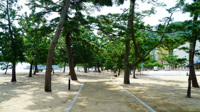 大浜海水浴場30