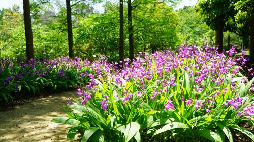 国営明石海峡公園18