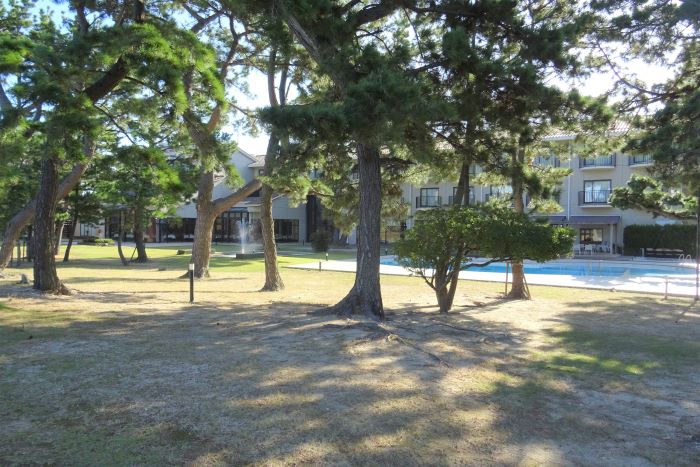 プロポーズ街道04