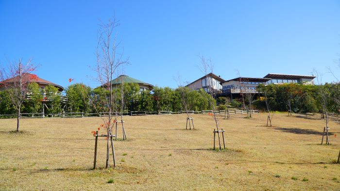 子午線ライン19