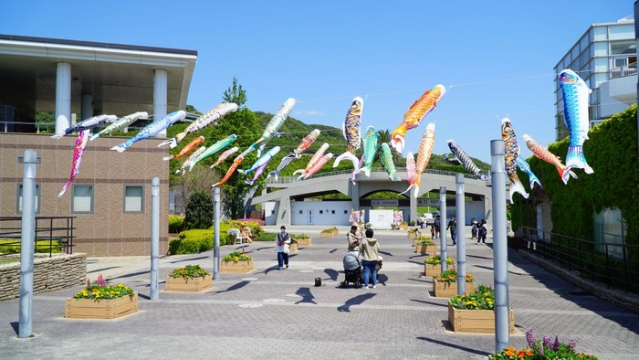 国営明石海峡公園19