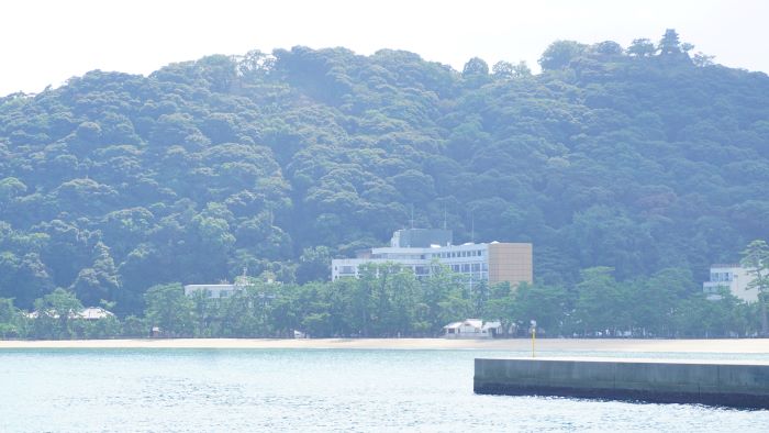 洲本港白灯大波止31