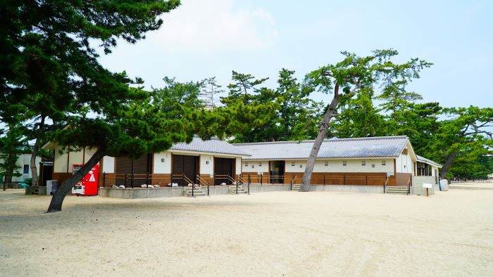 大浜海水浴場26