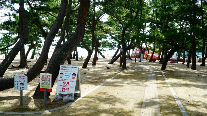 大浜海水浴場24